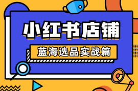 小红书店铺蓝海选品实战篇【图文】