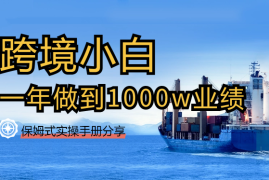 0基础小白，通过跨境电商，一年时间做到1000w业绩的完整复盘及保姆式实操手册分享【图文】