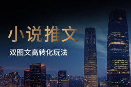 小说推文双图文年轻粉高转化玩法，3天收益1632