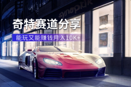 月入10K+既能玩又能赚钱的奇特赛道分享【图文】