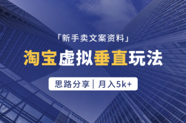 淘宝虚拟项目垂直玩法，新手卖文案资料，月入5k+