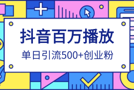 单条作品百万播放 单日引流500+高质量精准创业粉