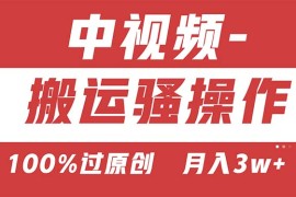 【中视频新思路】双重去重100%过原创，无脑搬运一键多渠道发布