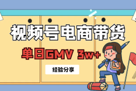 新手入局视频号电商带货，持续迭代实现单日GMV 3w+【图文】