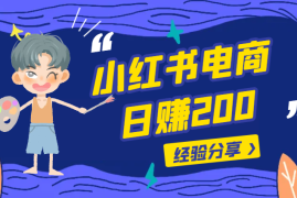 分享小红书做电商日赚200的经验【图文】