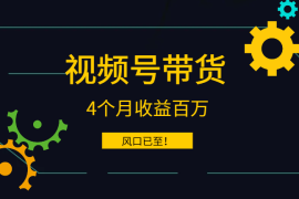 视频号带货4个月收益百万，风口已至！【图文】