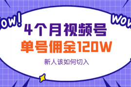 4个月视频号单号佣金120w，新人该如何切入【图文】