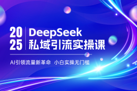 DeepSeek私域引流实操课，AI引领流量新革命