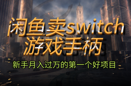 闲鱼卖switch游戏手柄，新手月入过万的第一个好项目