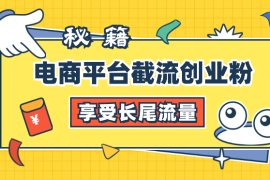 电商平台截流创业粉秘籍，仅需1分钱，即可享受长尾流量
