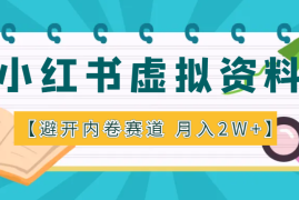 避开内卷赛道，挖掘小红书细分虚拟资料项目，月入2W +【图文】
