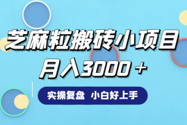 芝麻粒搬砖赚差价小项目实操复盘，月入3000＋，小白好上手拿到反馈【图文】