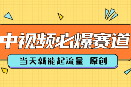 最新中视频必爆赛道，当天就能起流量，并且全部原创！