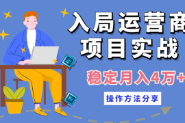 入局运营商项目实战，月入4w+，操作方法分享【图文】