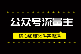 公众号流量主核心秘籍36讲实操课