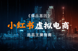 《爆品基因》：小红书虚拟电商选品王牌指南