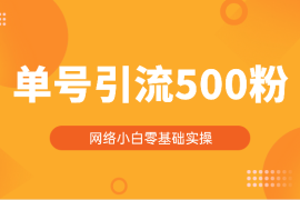 进入网络，小白第一步-零基础两个小时引流单号500粉【图文】