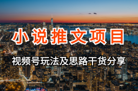 小说推文—视频号玩法及思路，干货分享
