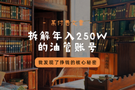 付费文章：拆解一个年入250W的油管账号，我发现了挣钱的核心秘密