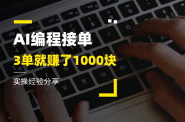 不会写代码，用AI接编程单子，3单就赚了1000块