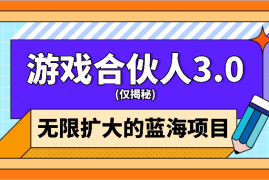 游戏合伙人3.0，无限扩大的蓝海项目