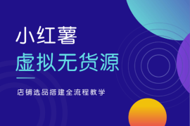 小红薯虚拟无货源项目，店铺选品搭建全流程教学