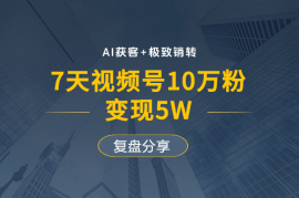 AI获客+极致销转：7天视频号10万粉，变现5W，复盘分享