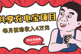 共享充电宝还能干吗？入局3个月，每月被动收入4万元【图文】