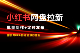 小红书做网盘拉新，批量制作+定时发布，附影刀代码