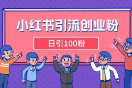 小红书高效引流创业粉，解决你遇到的问题，日引100粉