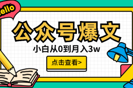 新手小白入局公众号爆文项目，从0到月入3w【图文】