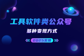 2025实操工具软件类领域公众号，多种变现方式分享