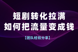 短剧如何把转化拉满，如何把流量变成钱