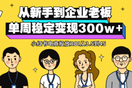 从新手到企业老板，小红书电商投放ROI从3.5到45，单周稳定变现300w+【图文】
