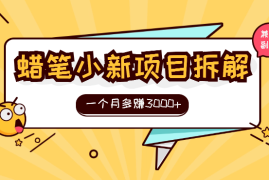 蜡笔小新项目拆解，小白一个月也能多赚3000+