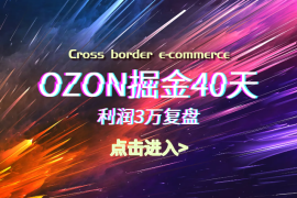 OZON掘金40天，利润3万复盘【图文】