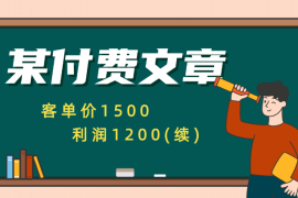 某付费文章《客单价1500，利润1200(续)》市场几乎可以说是空白的