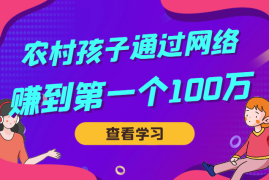00后的农村孩子如何通过网络赚到人生中的第一个100w【图文】