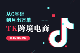 0基础做TikTok跨境电商，月出万单 0-1保姆级教程