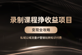 录制课程挣收益项目，私域公域流量IP营销变现全攻略