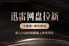 迅雷网盘拉新玩法，卡模板爆炸转化，新人容易上手的项目