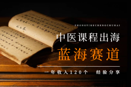 中医课程出海，蓝海赛道，一年收入120个，经验分享