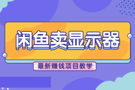 闲鱼卖显示器，日入4K+，最新赚钱项目教学