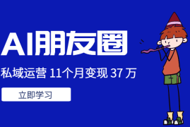 AI 朋友圈+私域运营 11个月变现 37 万【图文】