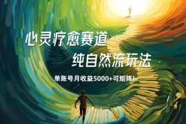 心灵疗愈赛道，纯自然流玩法单账号月收益5000+可矩阵! 