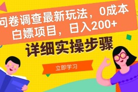 问卷调查最新玩法，0成本白嫖项目  单日轻松200+