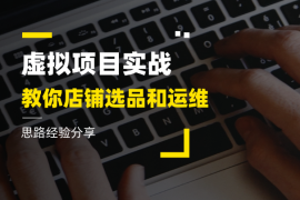 0成本虚拟项目实战，店铺选品、运维思路经验分享