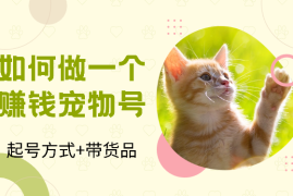 一文教你如何快速起号并做出一个赚钱的宠物号【图文】