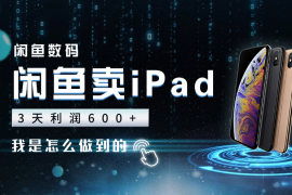 3天闲鱼账号60w曝光，利润600+，我是怎么做到的【图文】