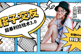 单人短视频年赚60w野路子玩法大揭秘，短视频搭子交友超暴利捡钱术3.0【图文】